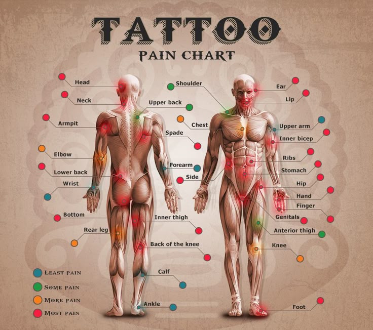 Tattoo Hurt Chart | Does tattoo hurt